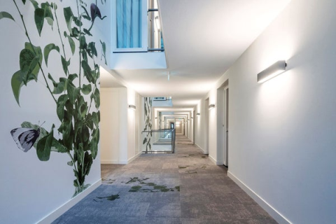 house image