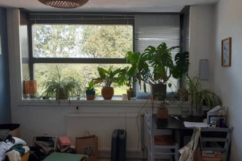 house image
