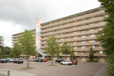 house image