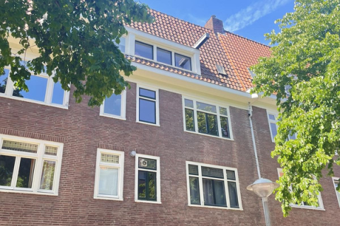 house image
