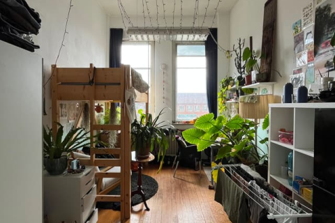house image