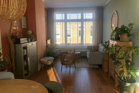 house image