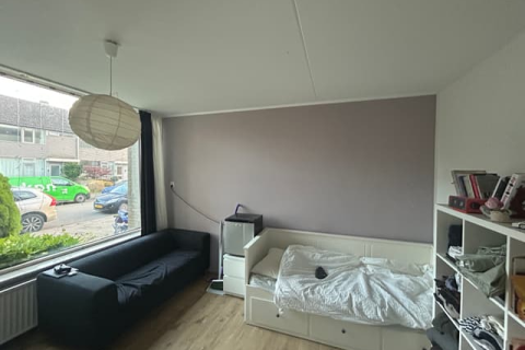 house image