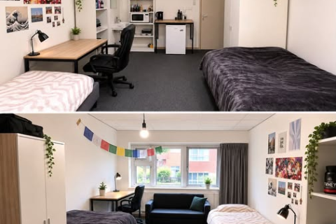 house image