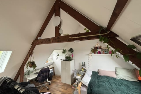 house image