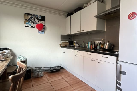house image