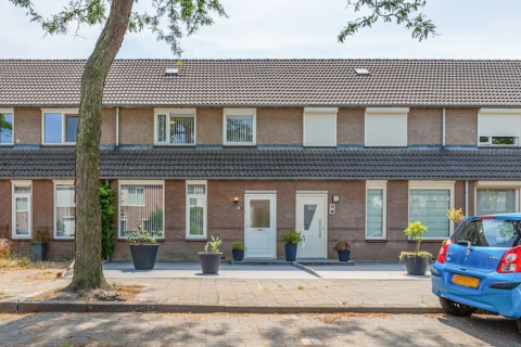 house image
