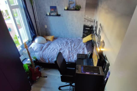 house image
