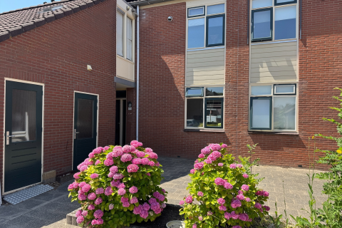 house image