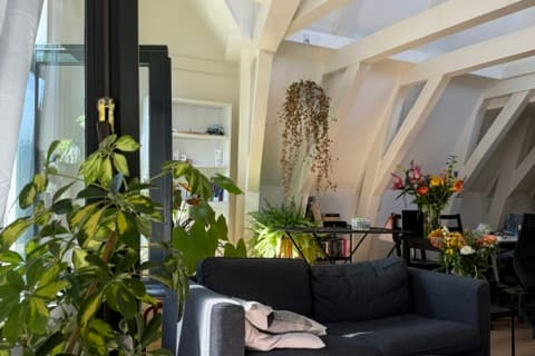 house image