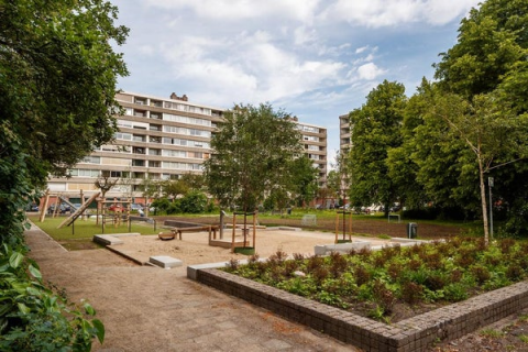 house image