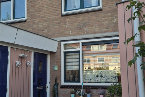 house image