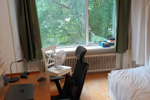 house image