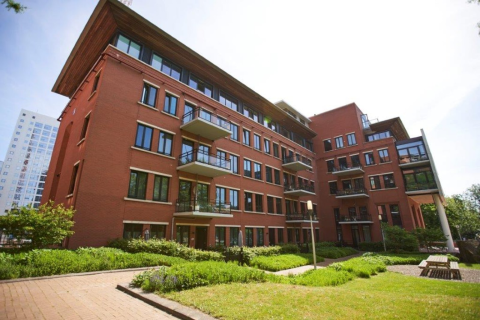 house image