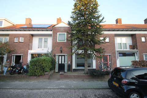 house image