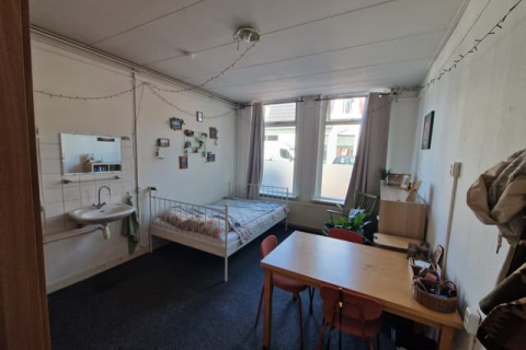house image