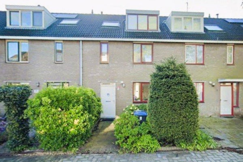 house image