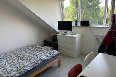 house image