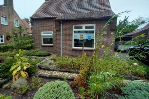 house image