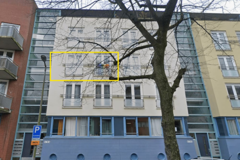 house image