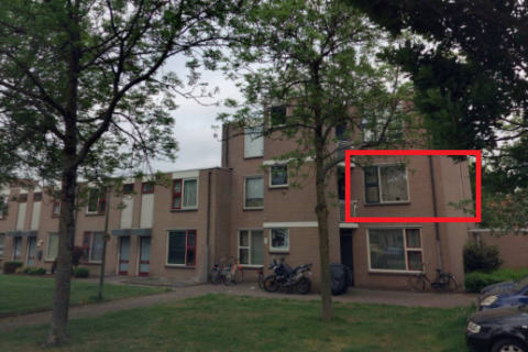 house image