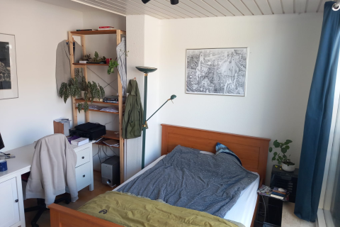 house image