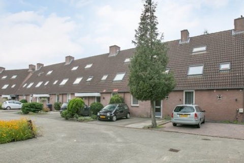 house image