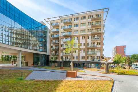 house image