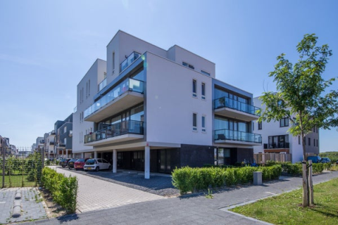 house image