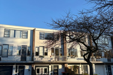 house image