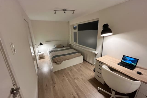 house image