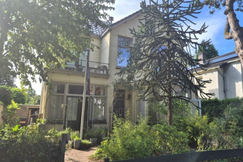 house image