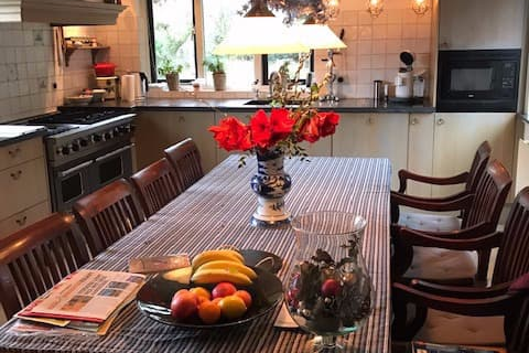 house image