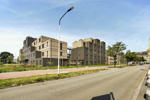 house image