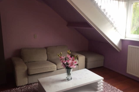house image