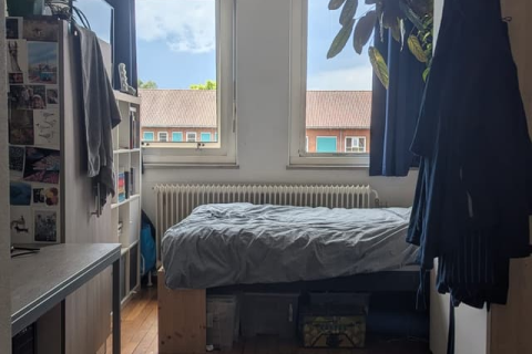 house image
