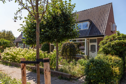 house image