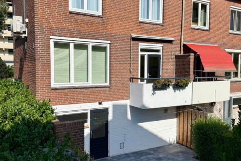 house image