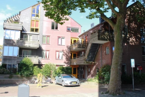 house image