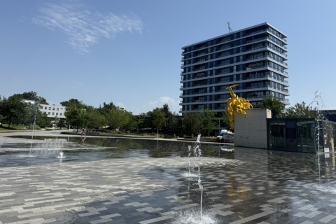house image