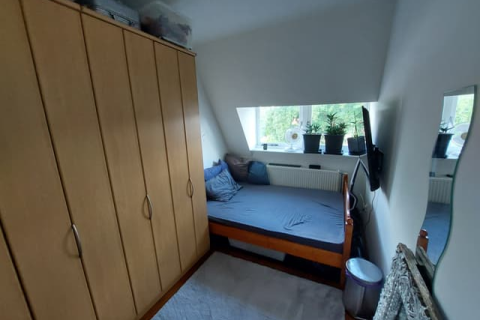 house image