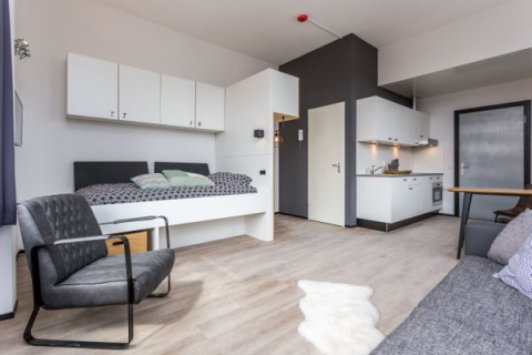 house image