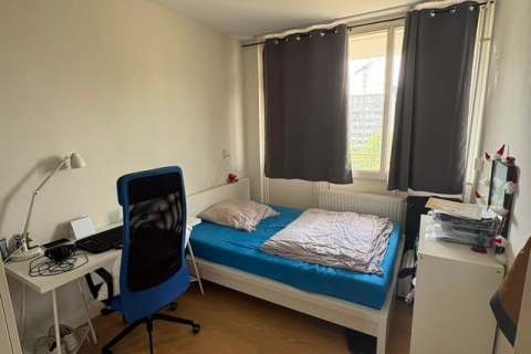 house image