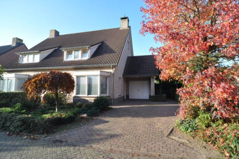 house image