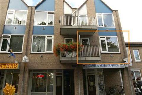 house image