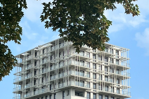 house image