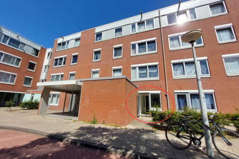 house image