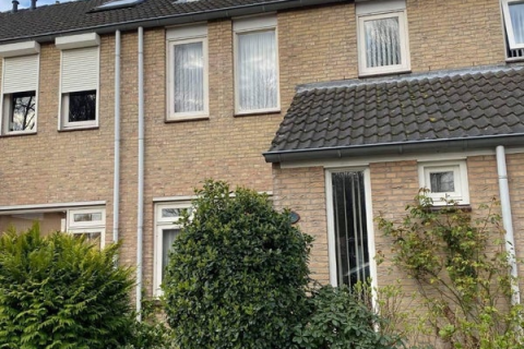 house image