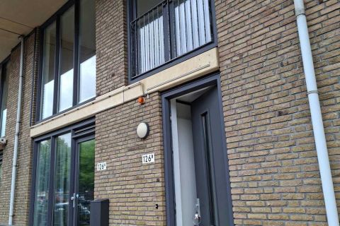 house image