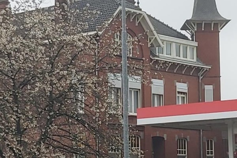 house image